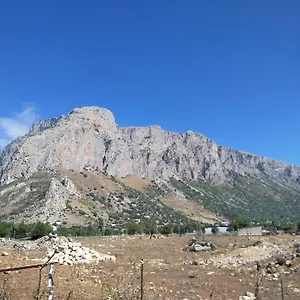 La Cinisara Casa vacanze